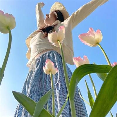 国土安全第七季